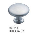 BZ-T48